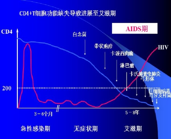 HIV感染下CD4+T細胞計數變化