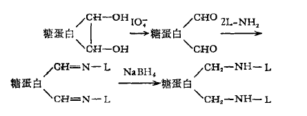 過(guò)碘酸鹽氧化結合法